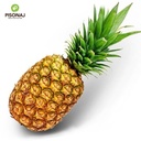 [f139] اناناس سكري