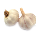 ثوم بلدي بدون عرش