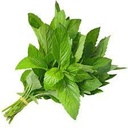 [v65] ربطة نعناع صغيرة