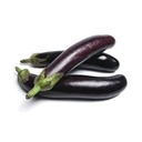 [v26] عروس اسود