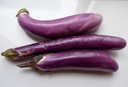 عروس موف