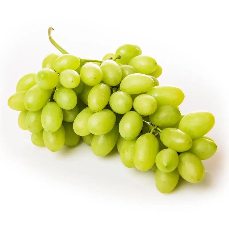 عنب ابيض سبريو