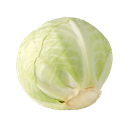 [v53] كرنب ابيض